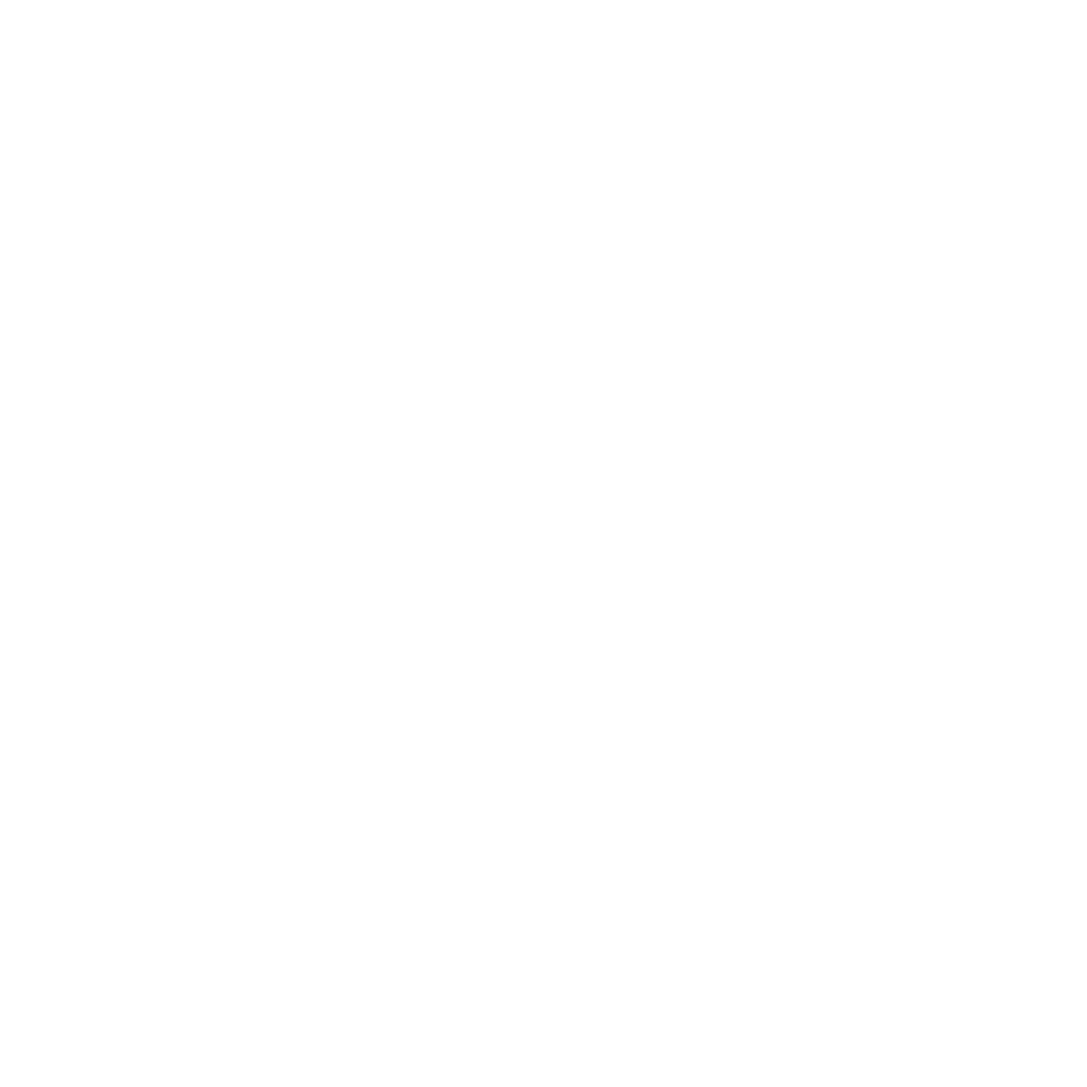 PYTHON PYTHON icon